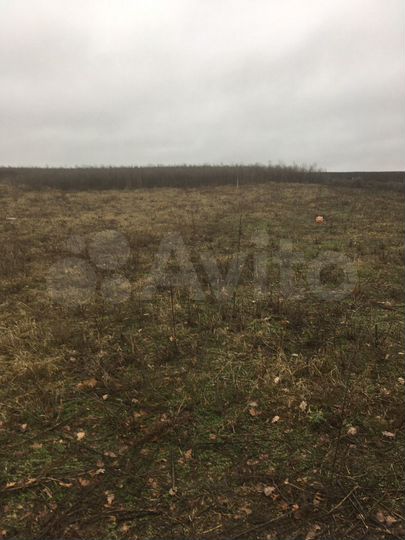Участок 15,5 сот. (ИЖС)