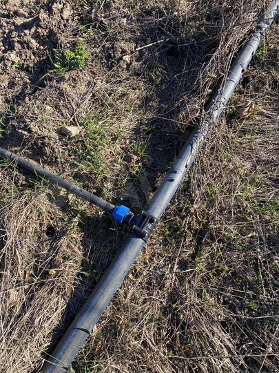 Участок 6 сот. (СНТ, ДНП)