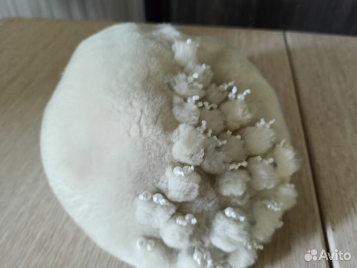 Женская шапка, меховой берет, алеф, новая