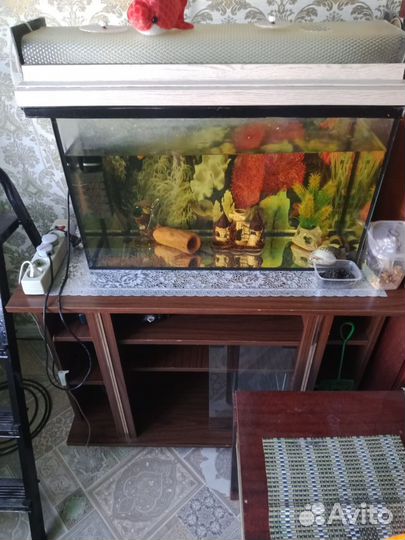 Аквариум на 70 литров с тумбой