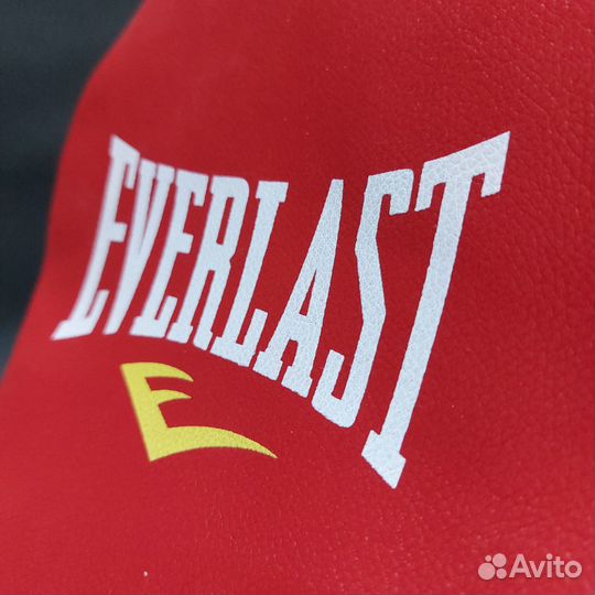 Боксерские лапы Everlast Red