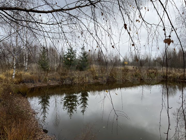 Участок 10 сот. (ИЖС)