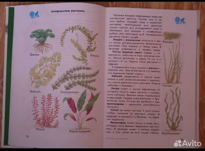 Атлас-определитель