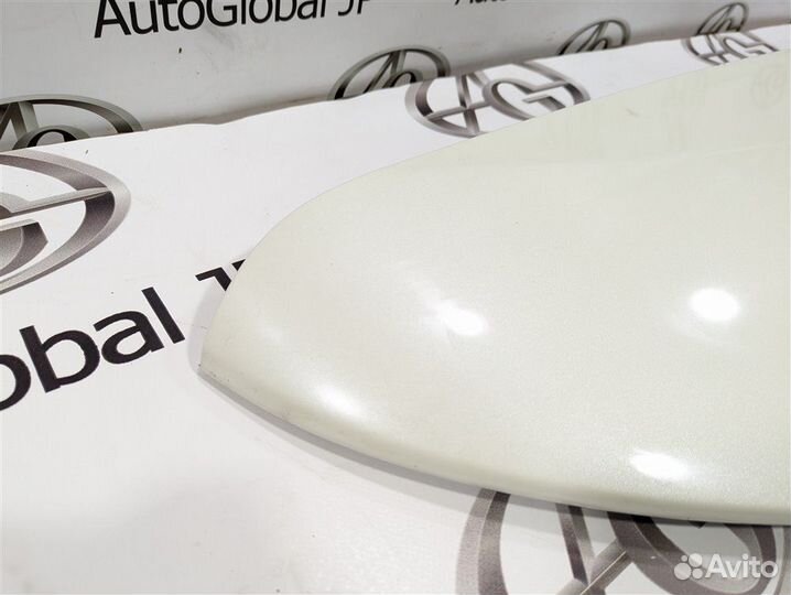 Спойлер Nissan Leaf