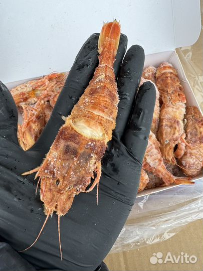 Медвежонок / редкие дальневосточные креветки