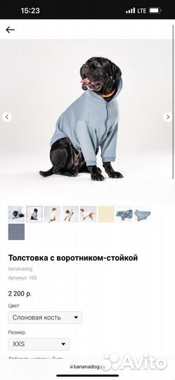 Худи для собак XS