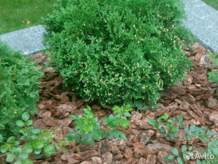 Кора-мульча сосны фракции 5-10 см (мешки 50 литров