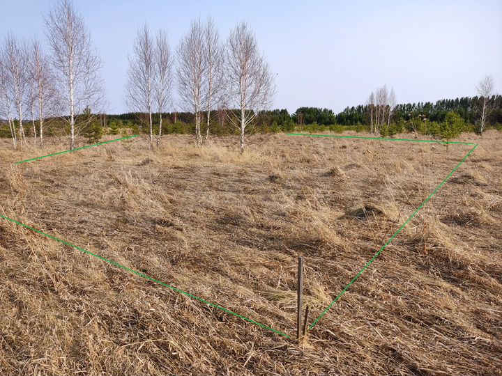 Участок 13 сот. (СНТ, ДНП)