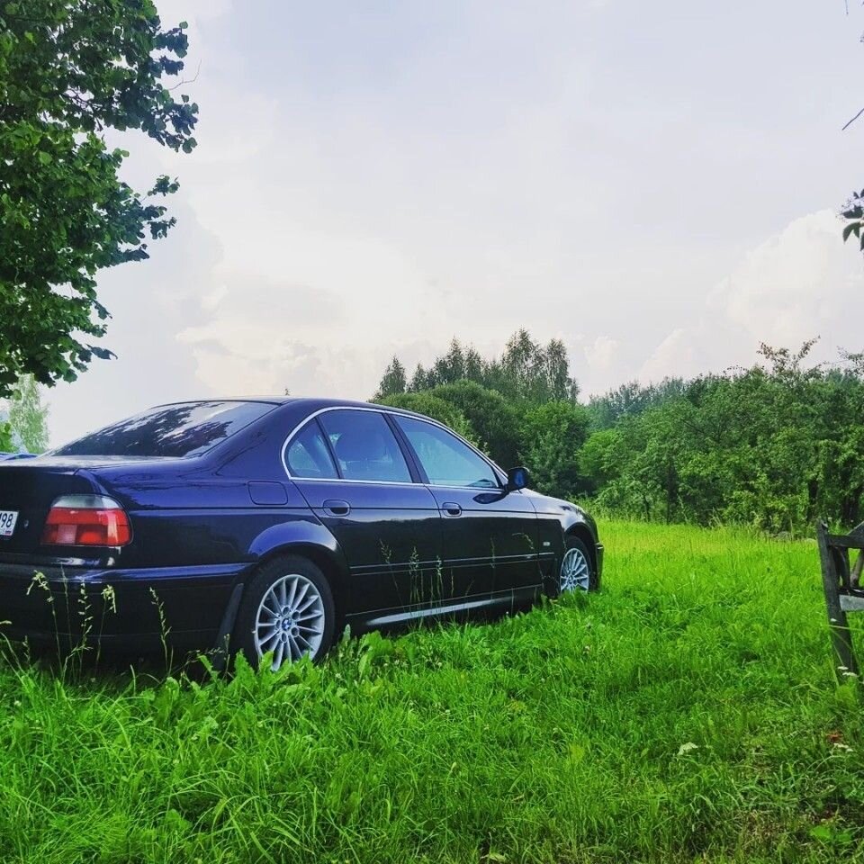 BMW 5 серия: фото владельца