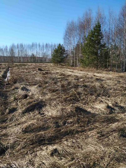 Участок 14 сот. (ИЖС)