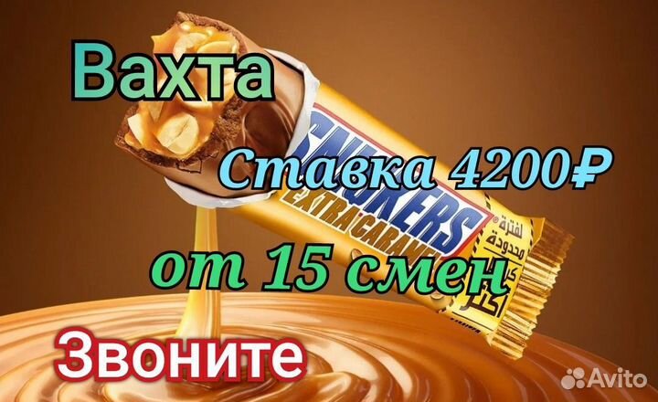 Вахта сидя упаковка шоколада без опыта с жильём