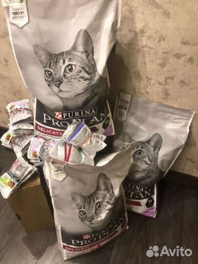 Корм для кошек проплан 10 кг