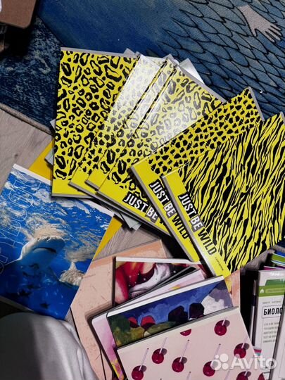 Тетради и канцелярия hatber erich krause