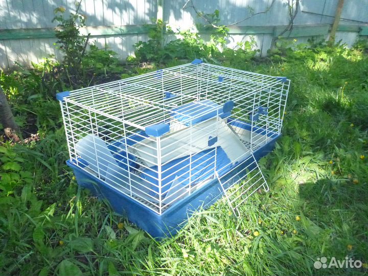 Клетка для морских свинок большая