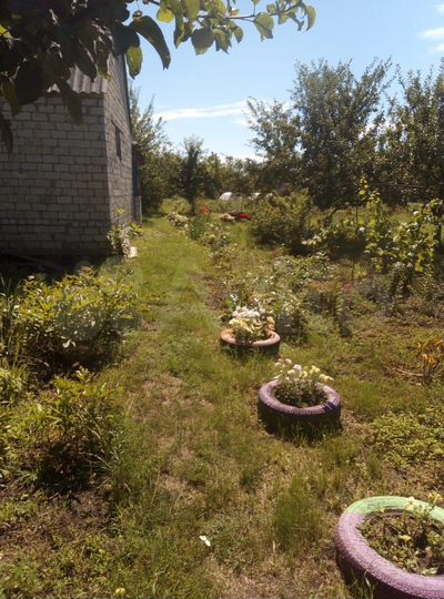 Дача 27 м² на участке 26 сот.