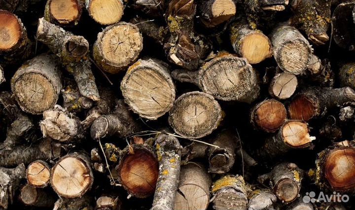 Дрова на дачу
