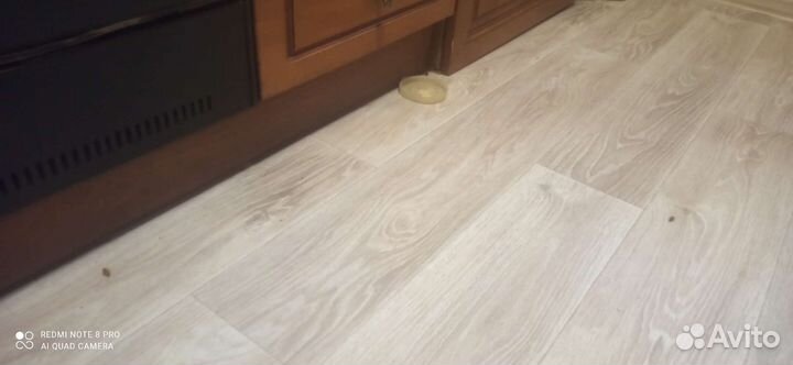 Отрава от тараканов и муравьёв