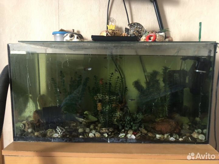 Аквариум