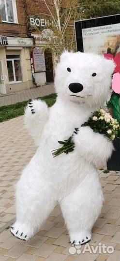 Услуги аниматора