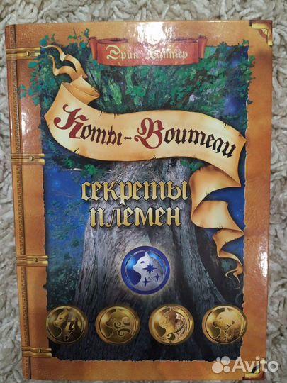 Книга дополнение про Котов-воителей