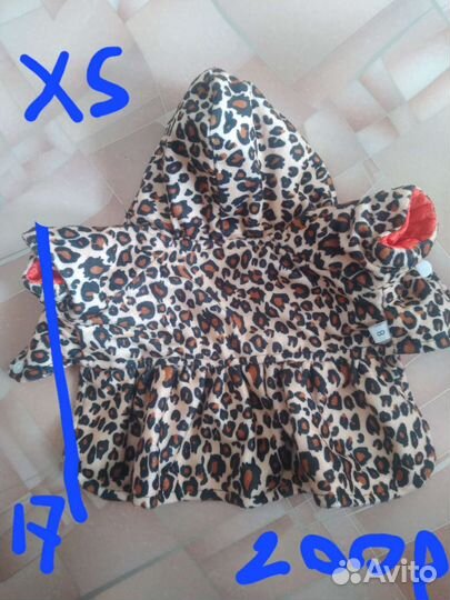 Вещи для собак