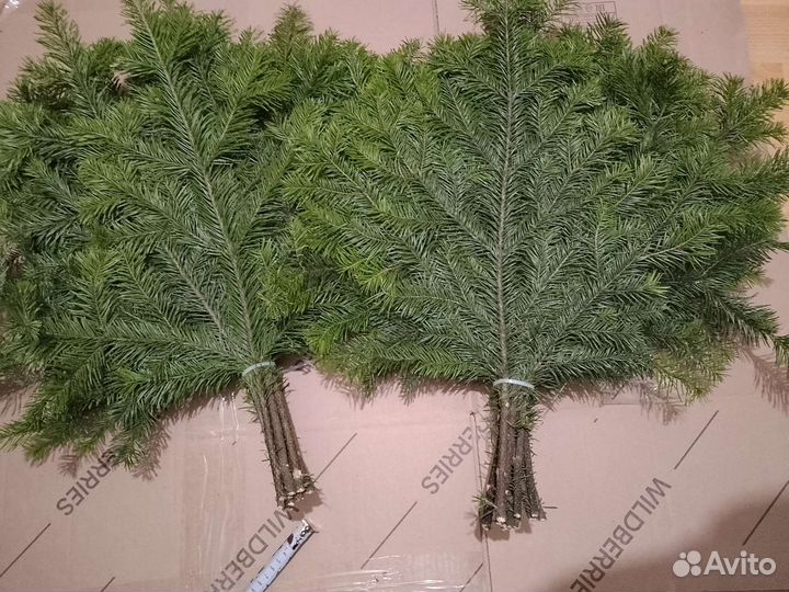 Пихтовые веники для бани