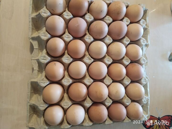 Яйцо столовое куриное