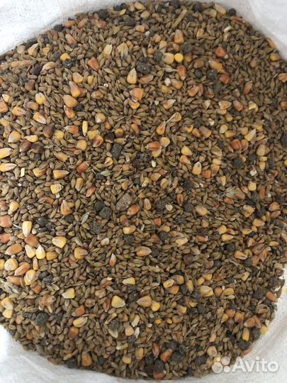 Зерносмесь