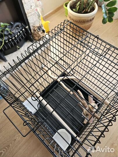 Клетка для попугая корелла