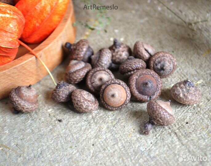 Шишки, желуди, орехи природные материалы