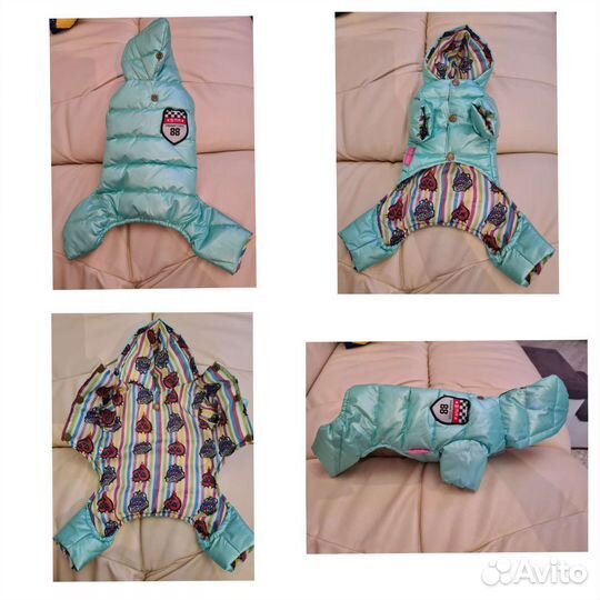 Одежда для маленьких собак xs