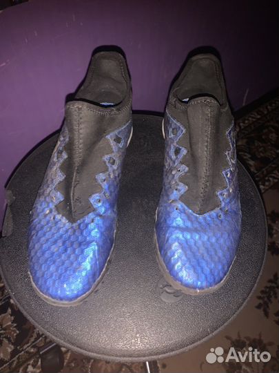 Сороконожки demix