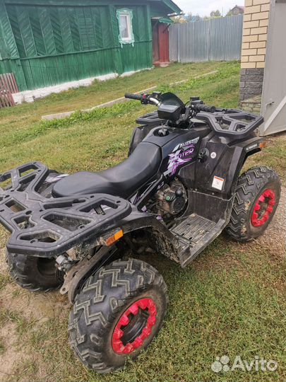 Avantis Hunter Big 200