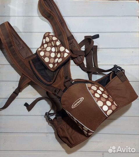 Кенгуру, хипсит