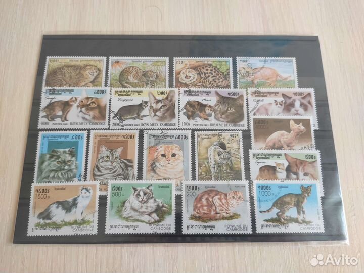 Марки Кошки