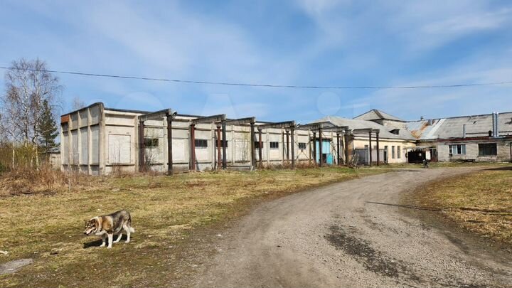 Производство, 100 м²