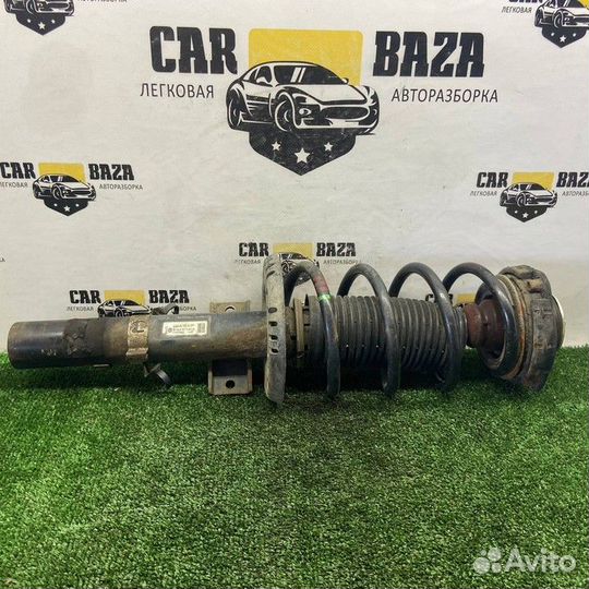 Стойка амортизатора в сборе передняя