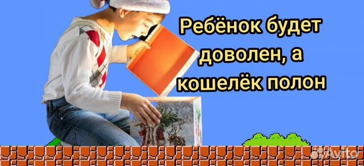 Bonito Days игры для Nintendo Switch
