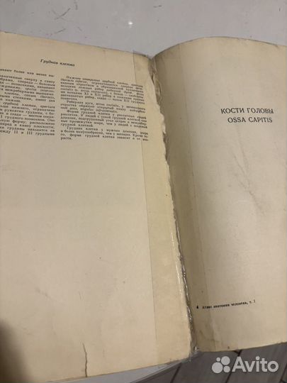 Анатомия человека Синельников, 1963 г.в