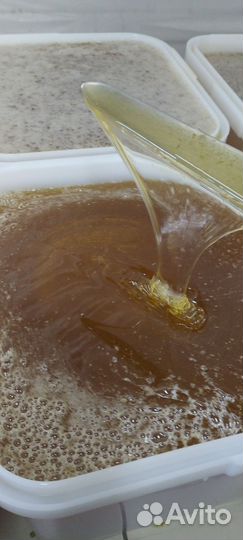 Мед разнотравие