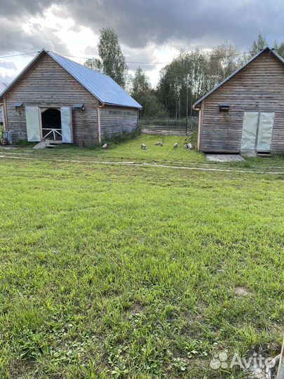 Продается Семейная Ферма Усадьба Имение