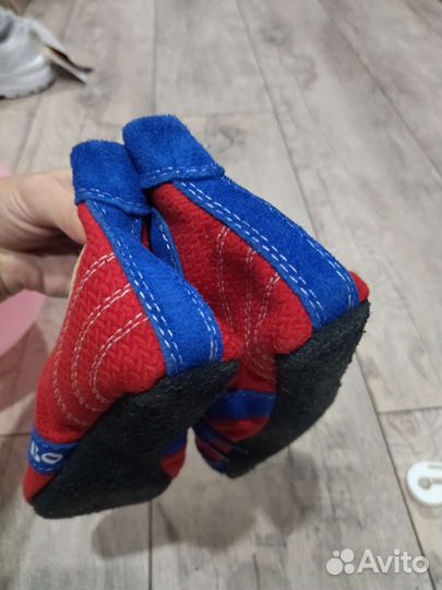 Самбовка крепыш