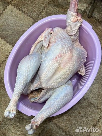 Мясо индюшки