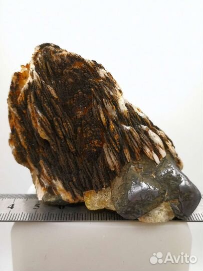 Барит, галенит. Белореченское