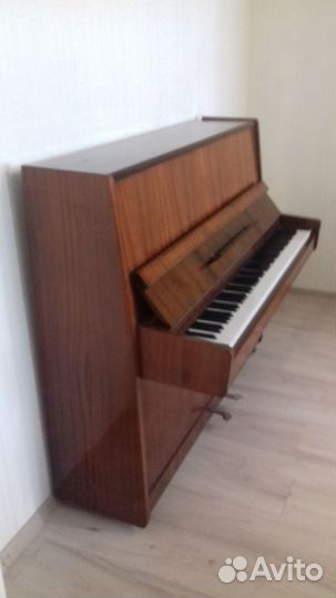 Музыкальные инструменты