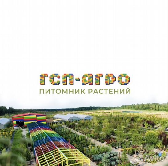 Разнорабочий с проживанием