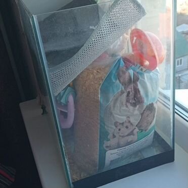 Аквариум для ваших любимых рыбок