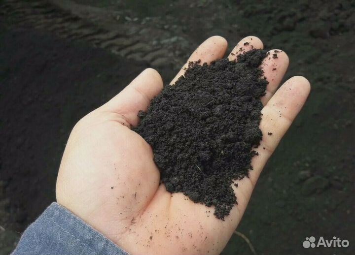 Чернозём рязанский