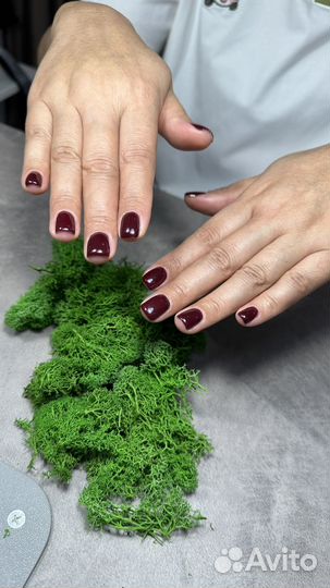 Модель на маникюр