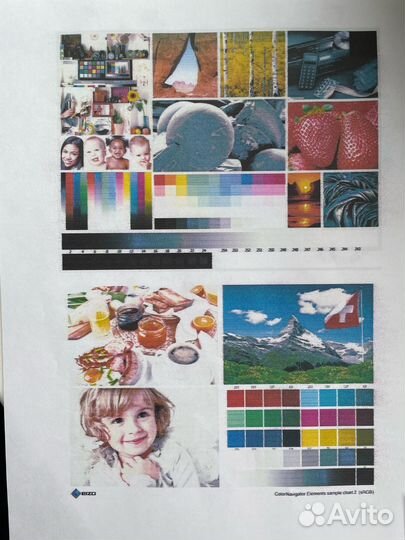 Epson stylus photo P-50 рабочий